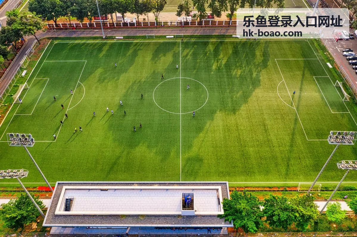 乐鱼登录入口 登录操作流程图示