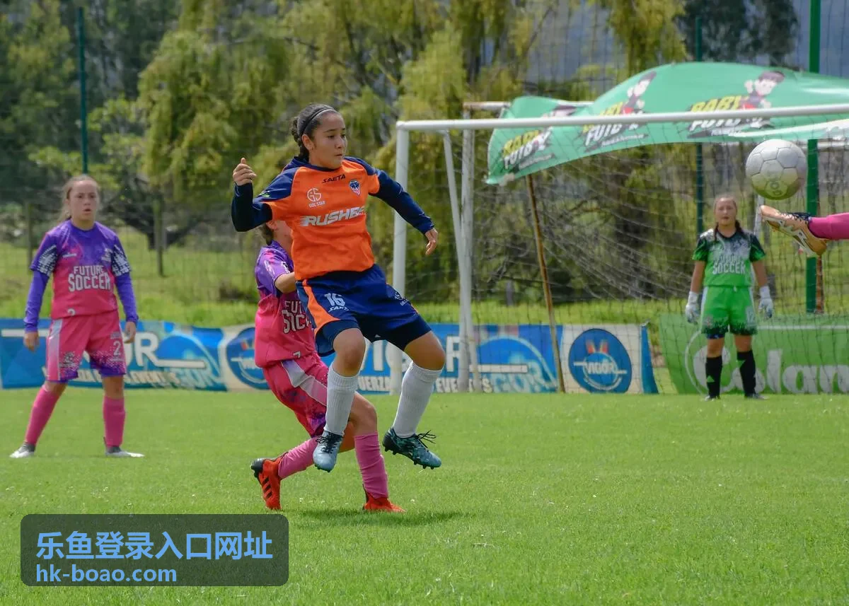乐鱼登录入口安全访问习惯